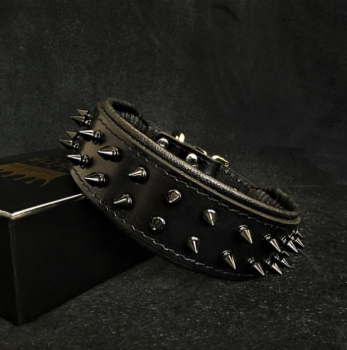 "Frenchie" Halsband